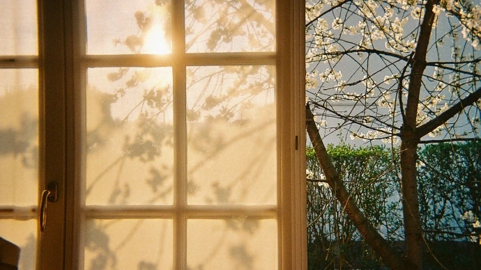 Vue d’une fenêtre à vitres carrées laissant passer la lumière chaude du soleil, avec les branches d’un arbre en fleurs visibles à l’extérieur.