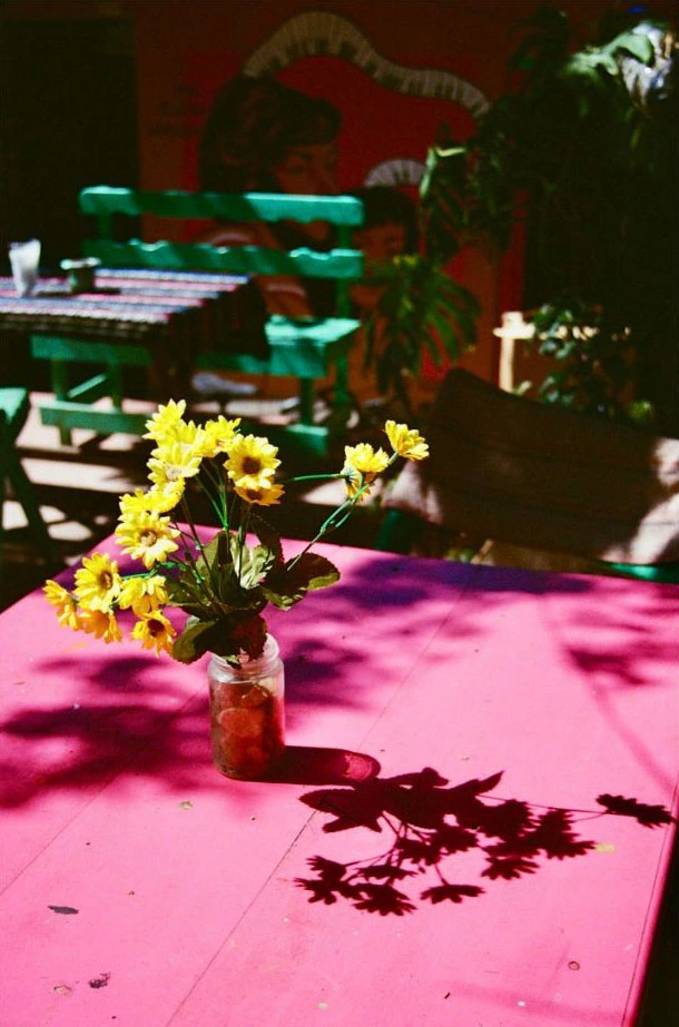 Photo artistique d'un pot de fleurs jaunes, reposant sur une table rose, dont l'ombre marquée est projetée sur la table